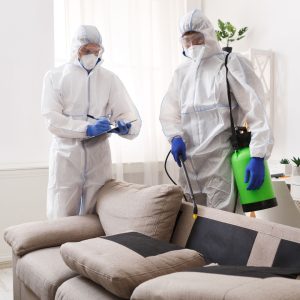 disinfection